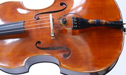 Upright Bass Microphone | Ear Trumpet Labs