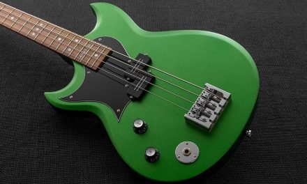 Lefty Reverend Mike Watt Signature Wattplower