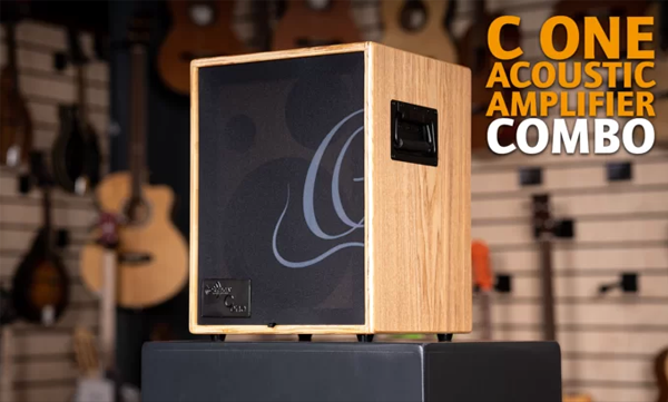 Two-Channel Acoustic Amplifier Combo