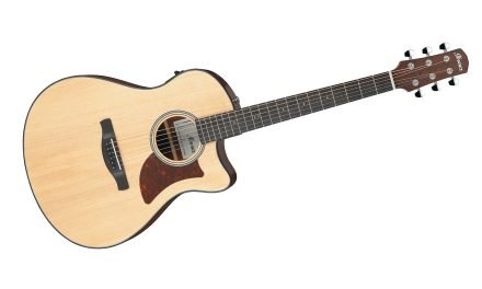Ibanez Announces New AAM Acoustic Series