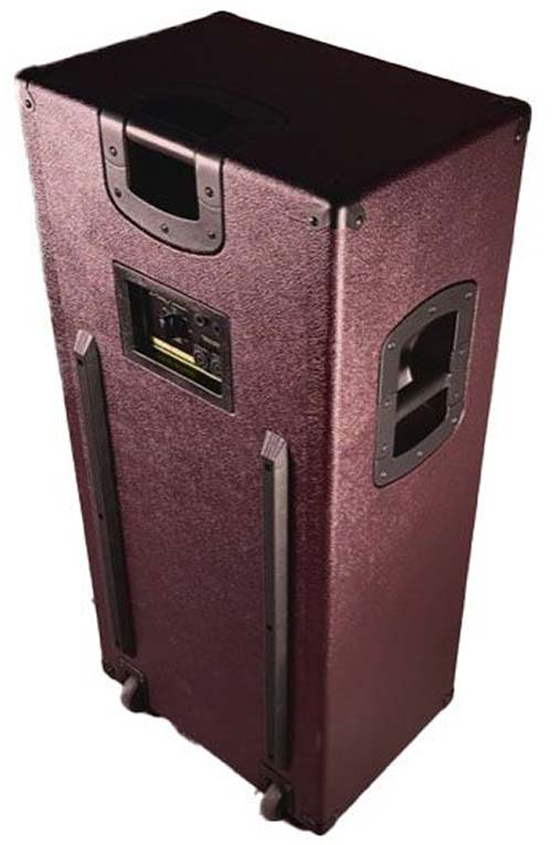 NV410T, a limited-edition bass cabinet inspired by the iconic NV610T